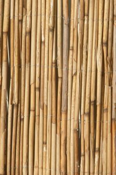 Schilfrohrmatte Rolle 6m x 2.4m