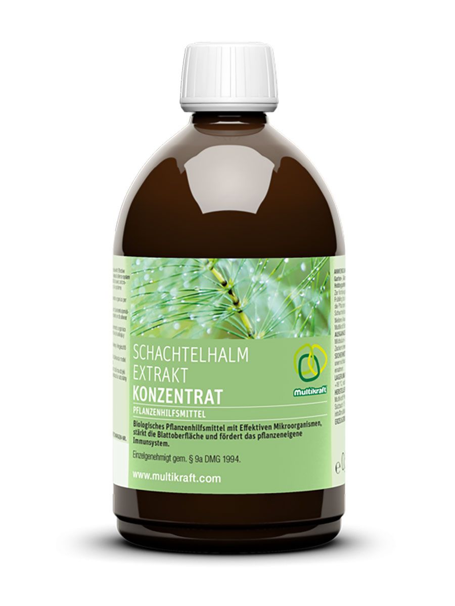 Schachtelhalmextrakt Konzentrat Schachtelhalmextrakt Konzentrat
