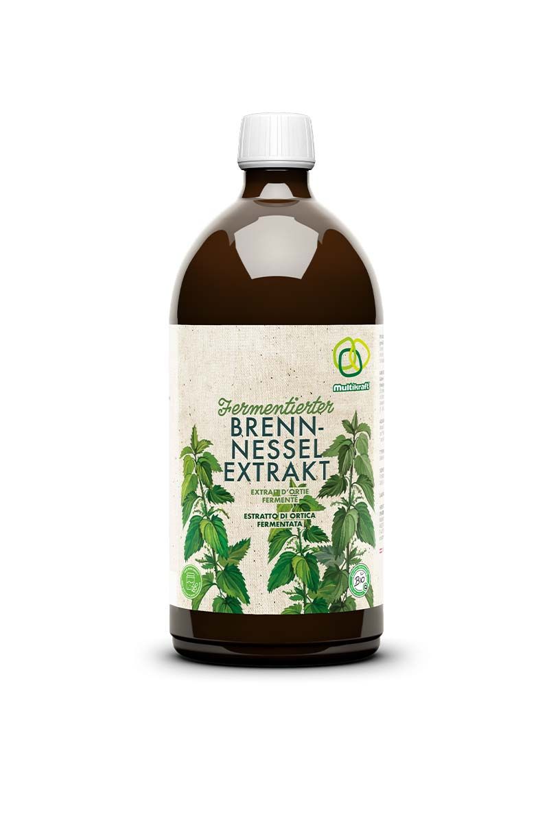 Brennesselextrakt Brennesselextrakt