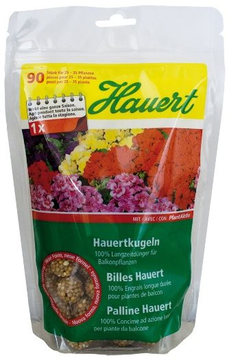 Balkonpflanzen