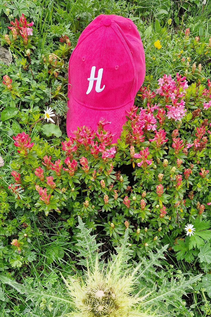 Hauenstein's Pink Cap Hauenstein's Pink Cap