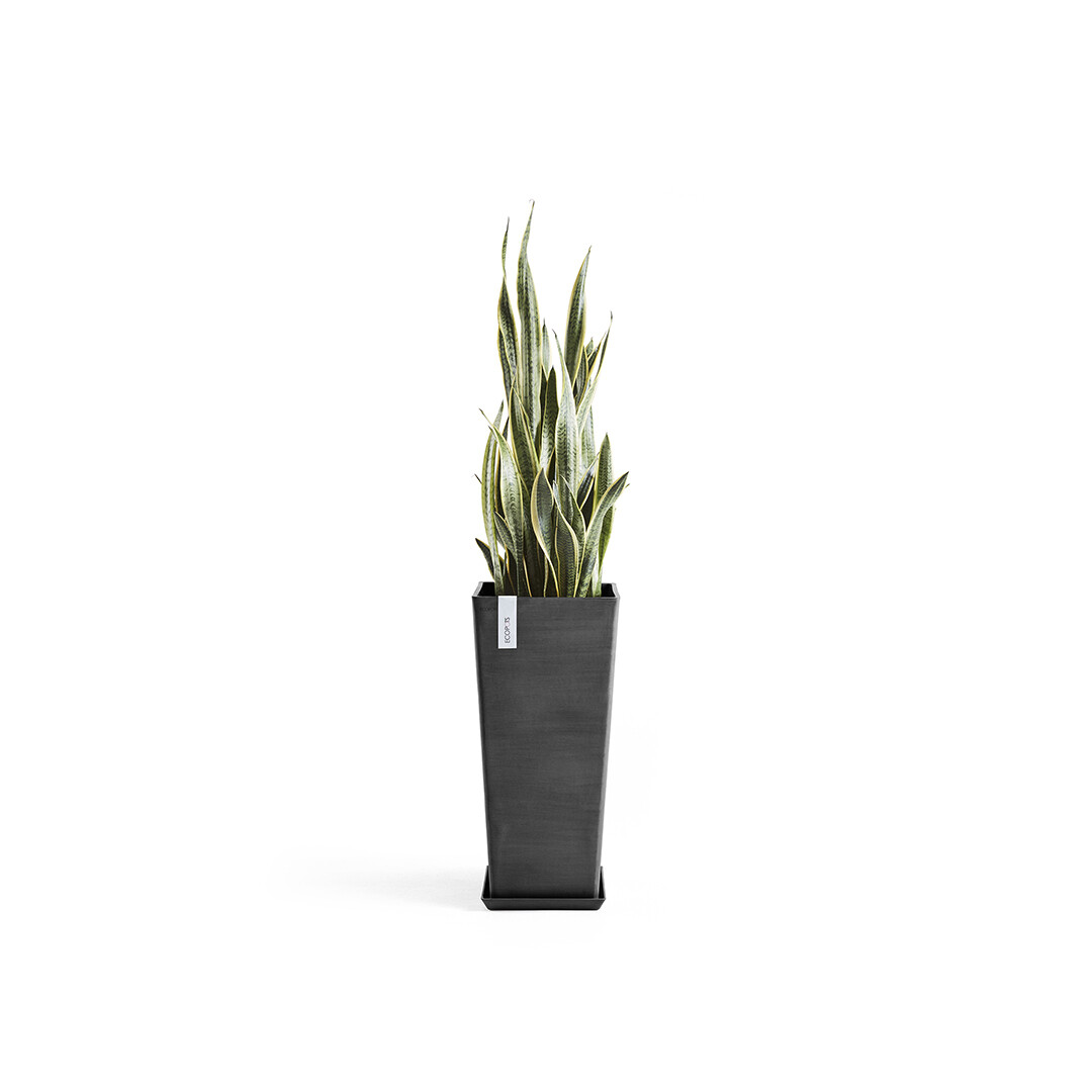 Ecopots Rotterdam High