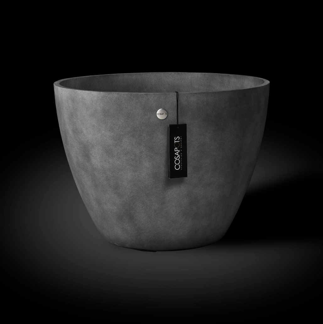 Cosapots Lupo