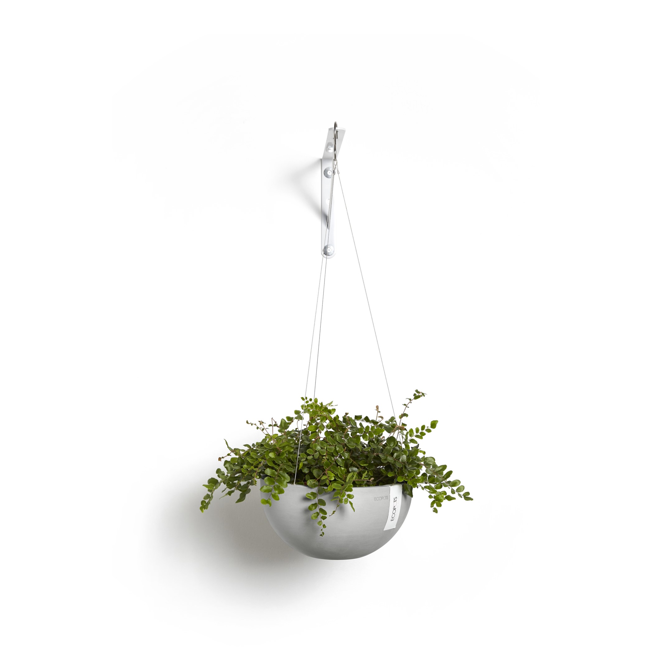Ecopots Hanging Brussels