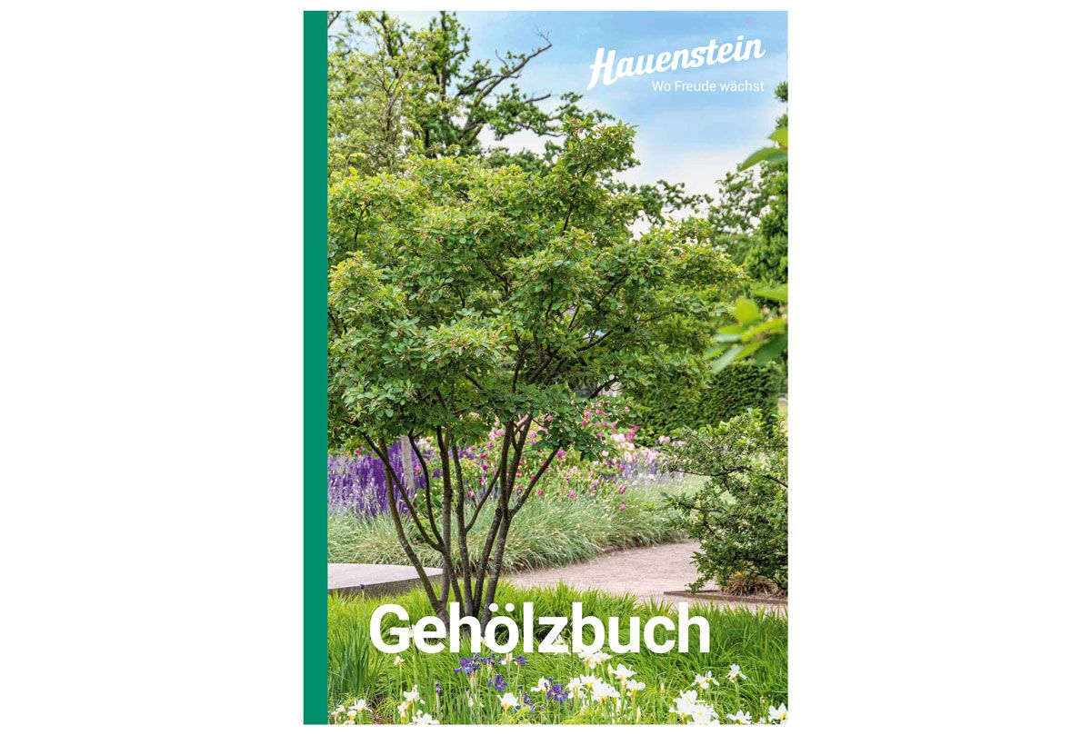 Hauenstein Gehölzbuch 2025