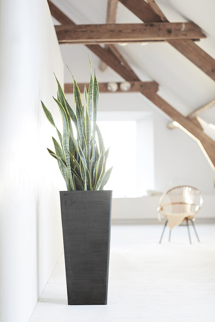 Ecopots Rotterdam High