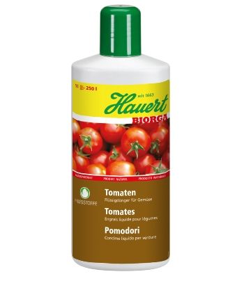 Tomaten, Balkongemüse, Küchenkräuter