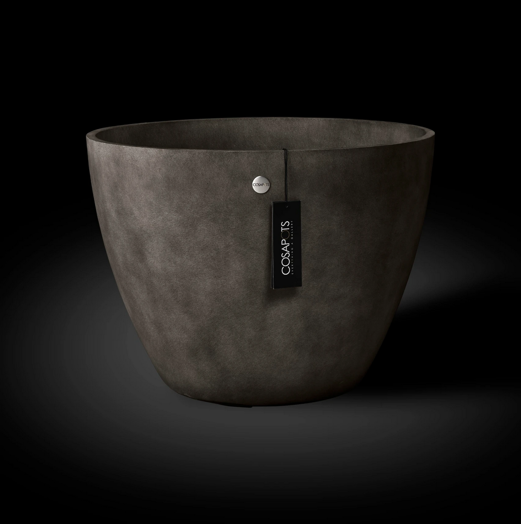 Cosapots Lupo