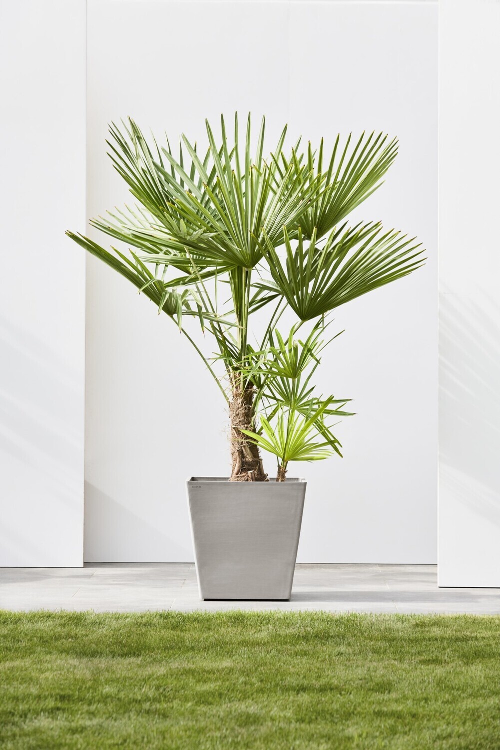 Ecopots Rotterdam Wheels