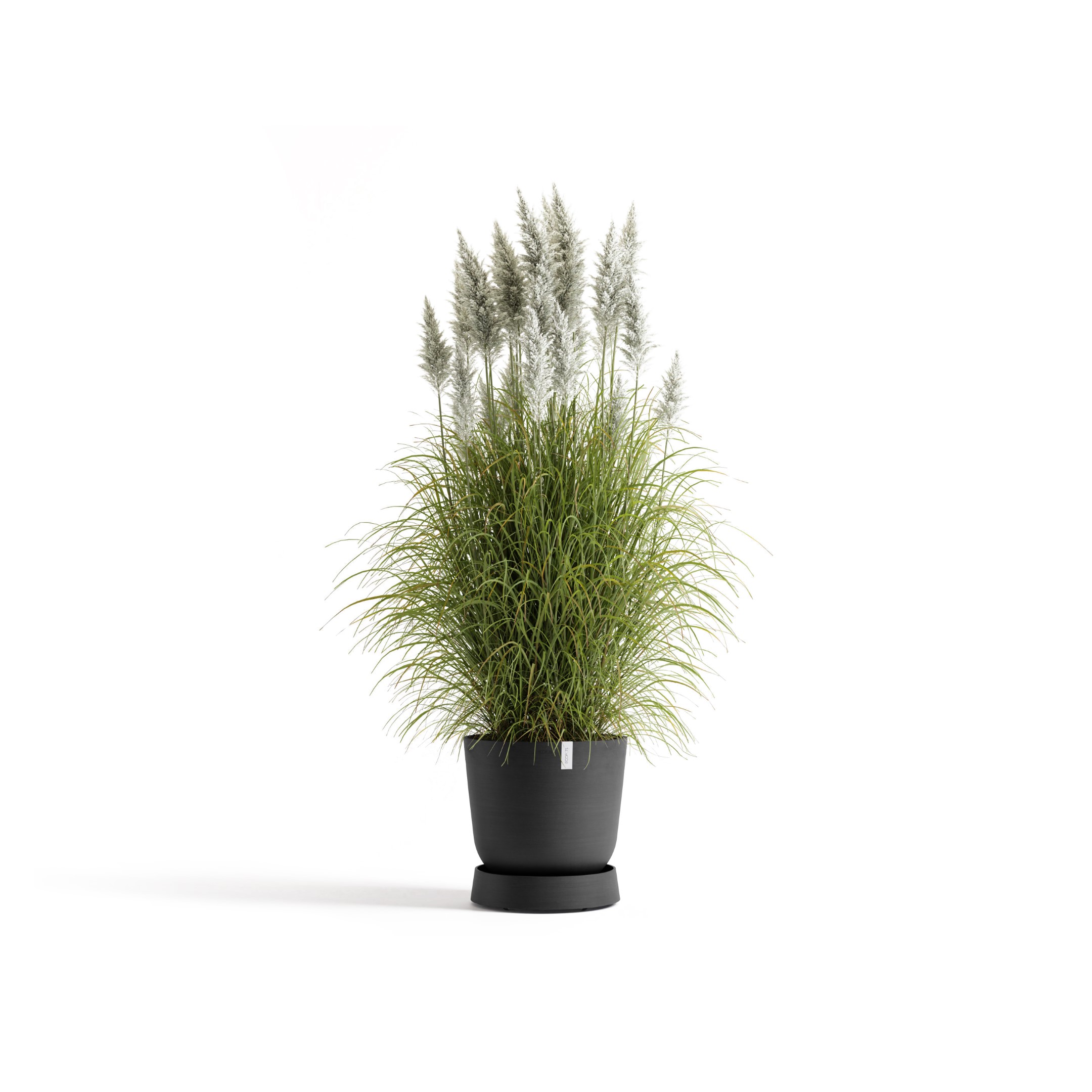 Ecopots Saucer Wheels Oslo