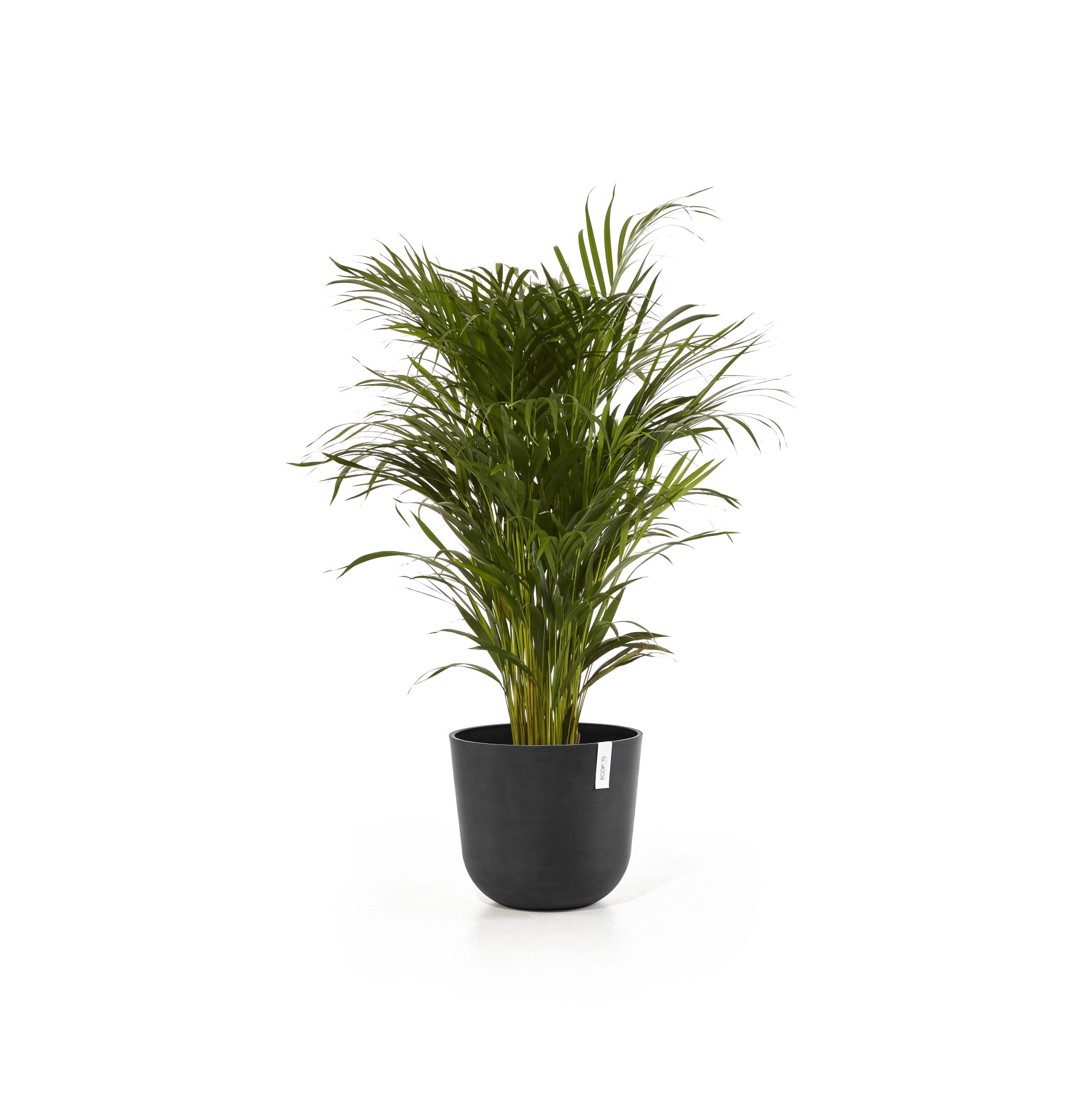 Ecopots Oslo