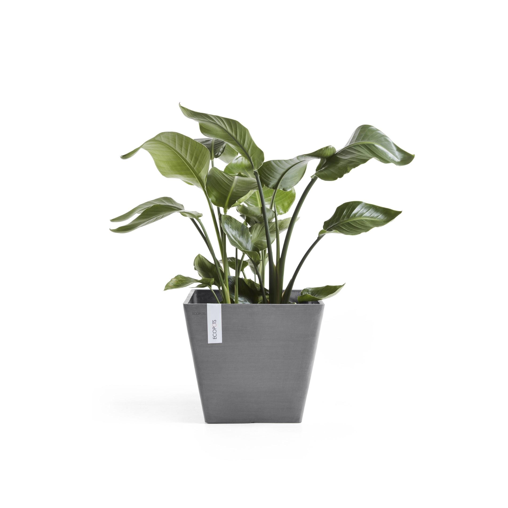 Ecopots Rotterdam