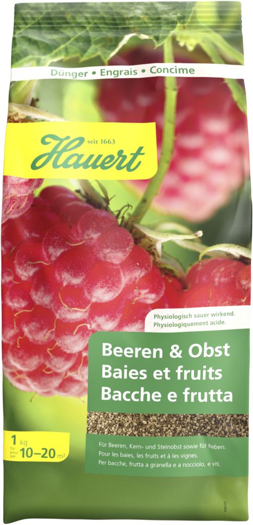 Beeren und Obst
