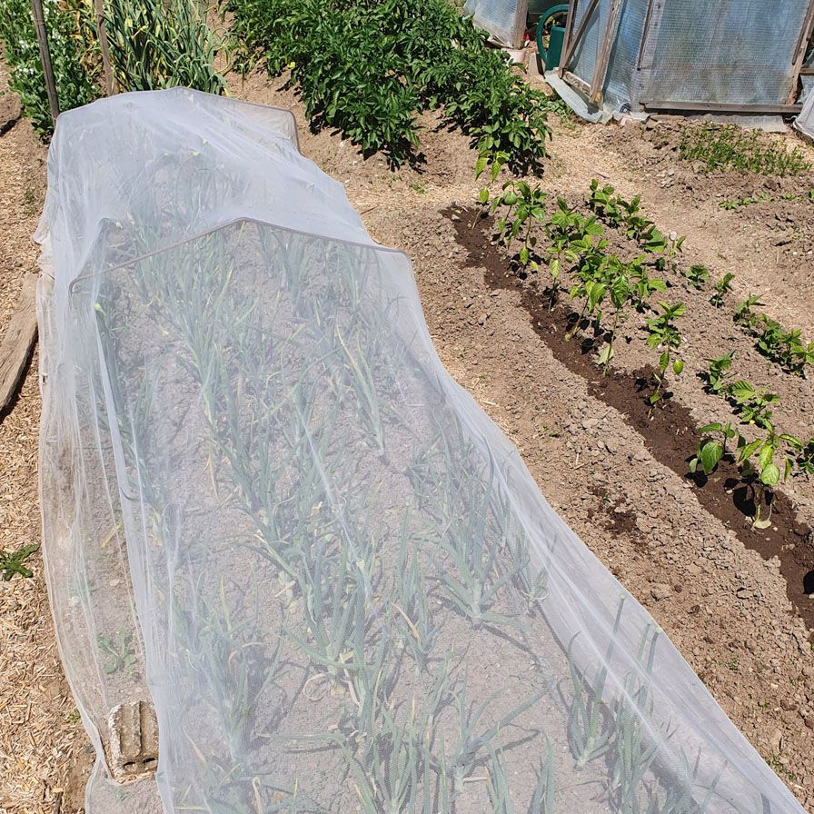 InsectoNet 5 x 2.1m PLA