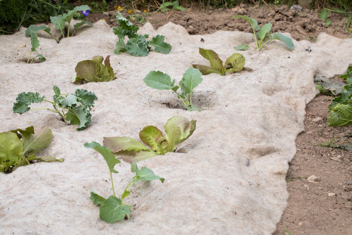 Mulch - Vlies 2.5 x 1.1 m