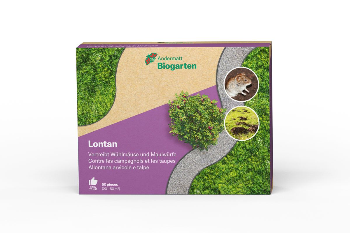 Lontan Kugeln