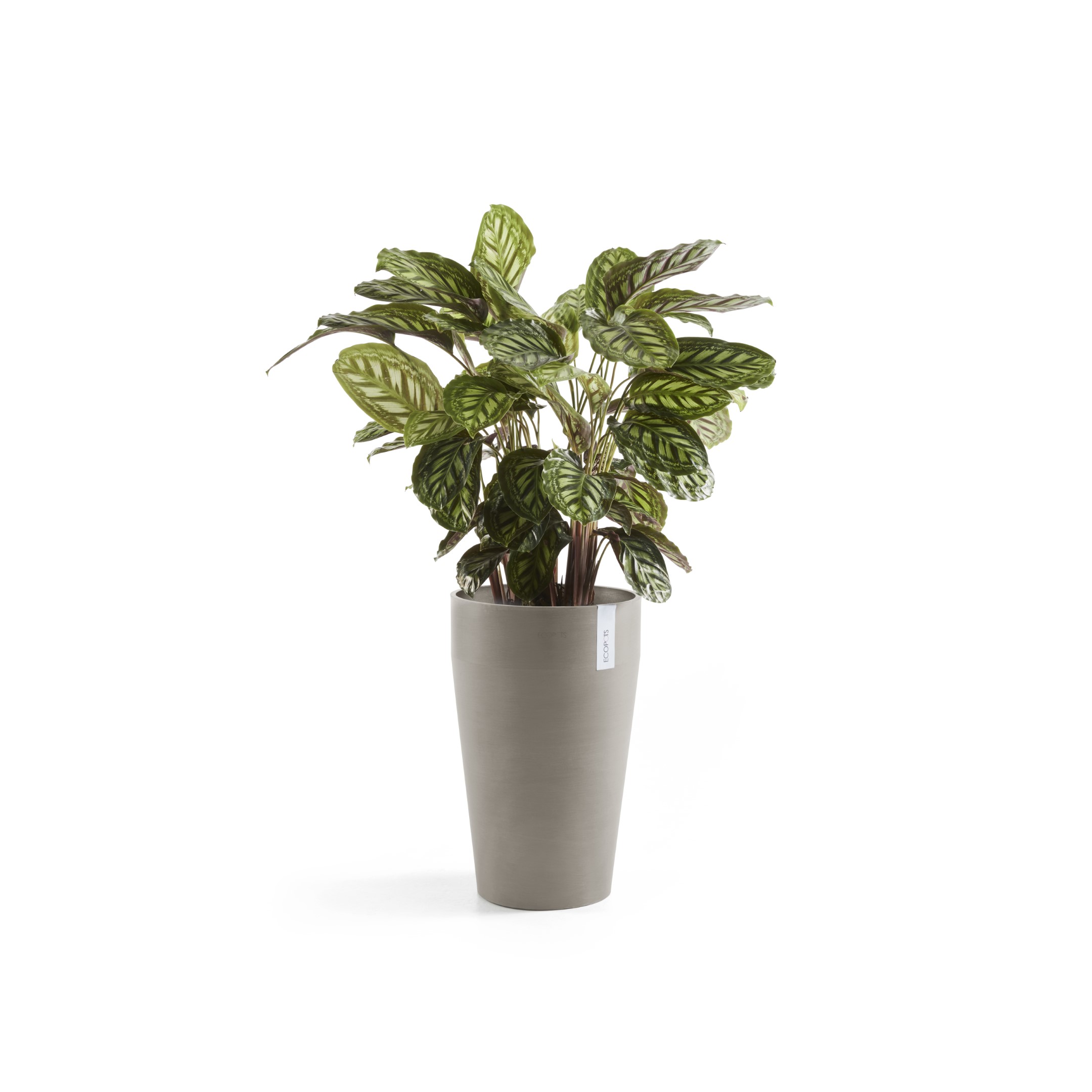 Ecopots Sankara Medium High