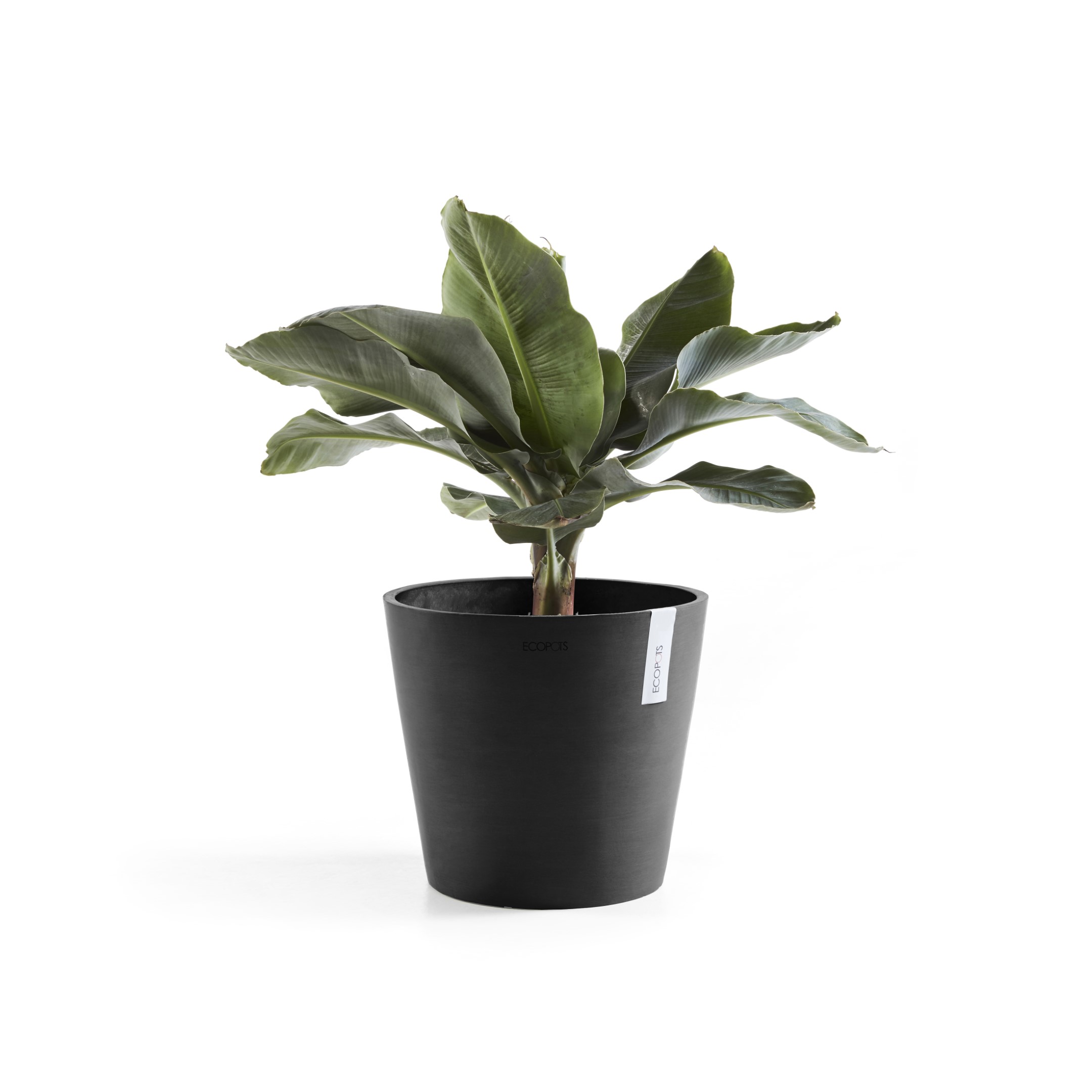 Ecopots Amsterdam