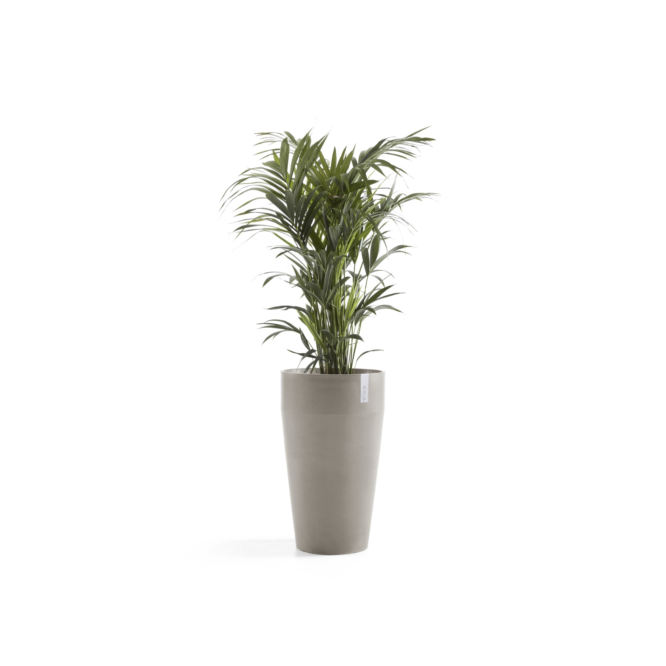 Ecopots Sankara High