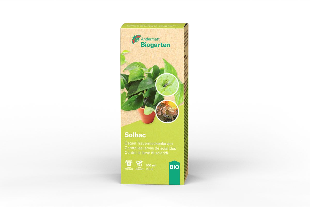Solbac flüssig