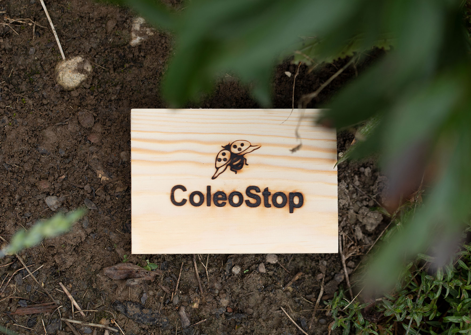 ColeoStop® Nematoden
