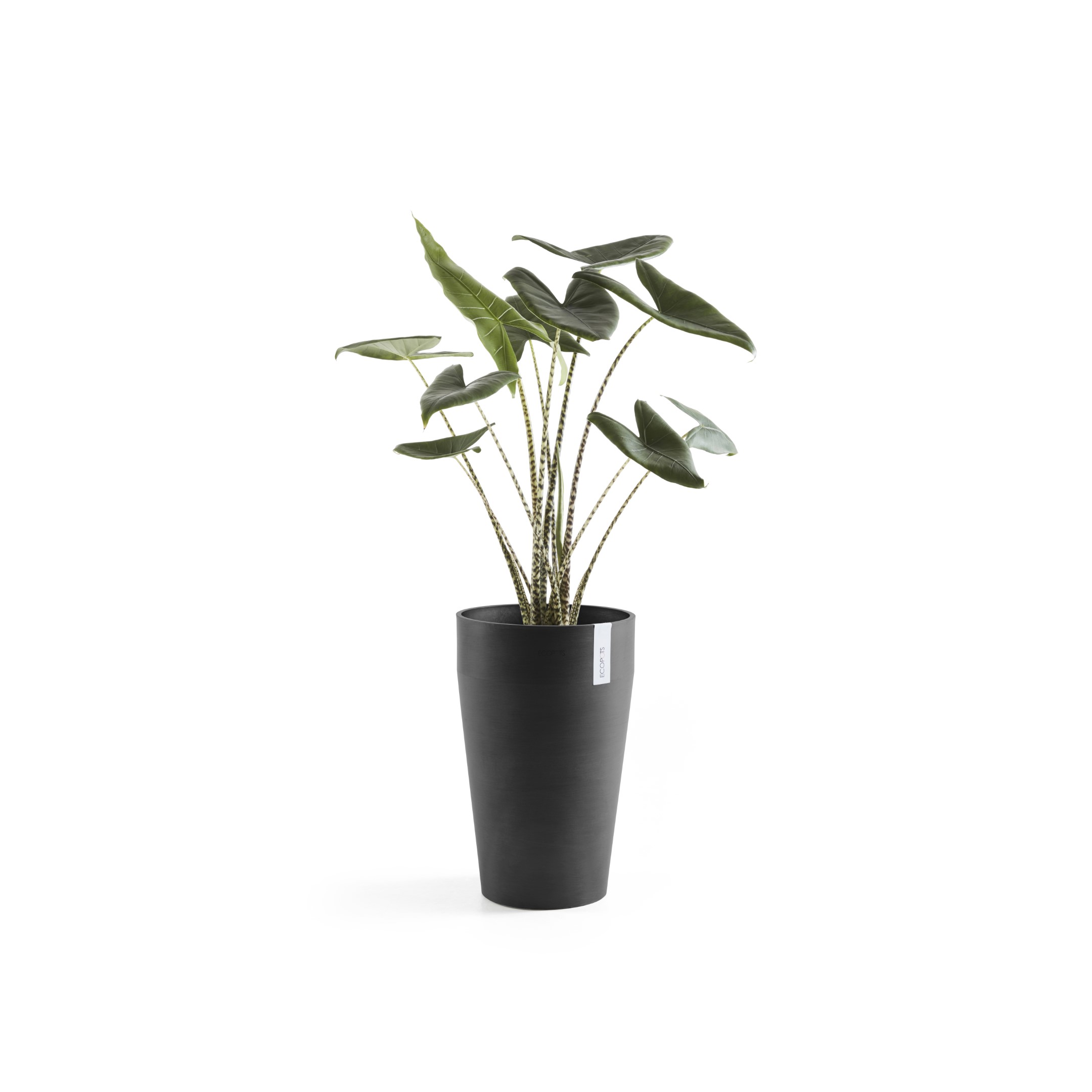 Ecopots Sankara Medium High