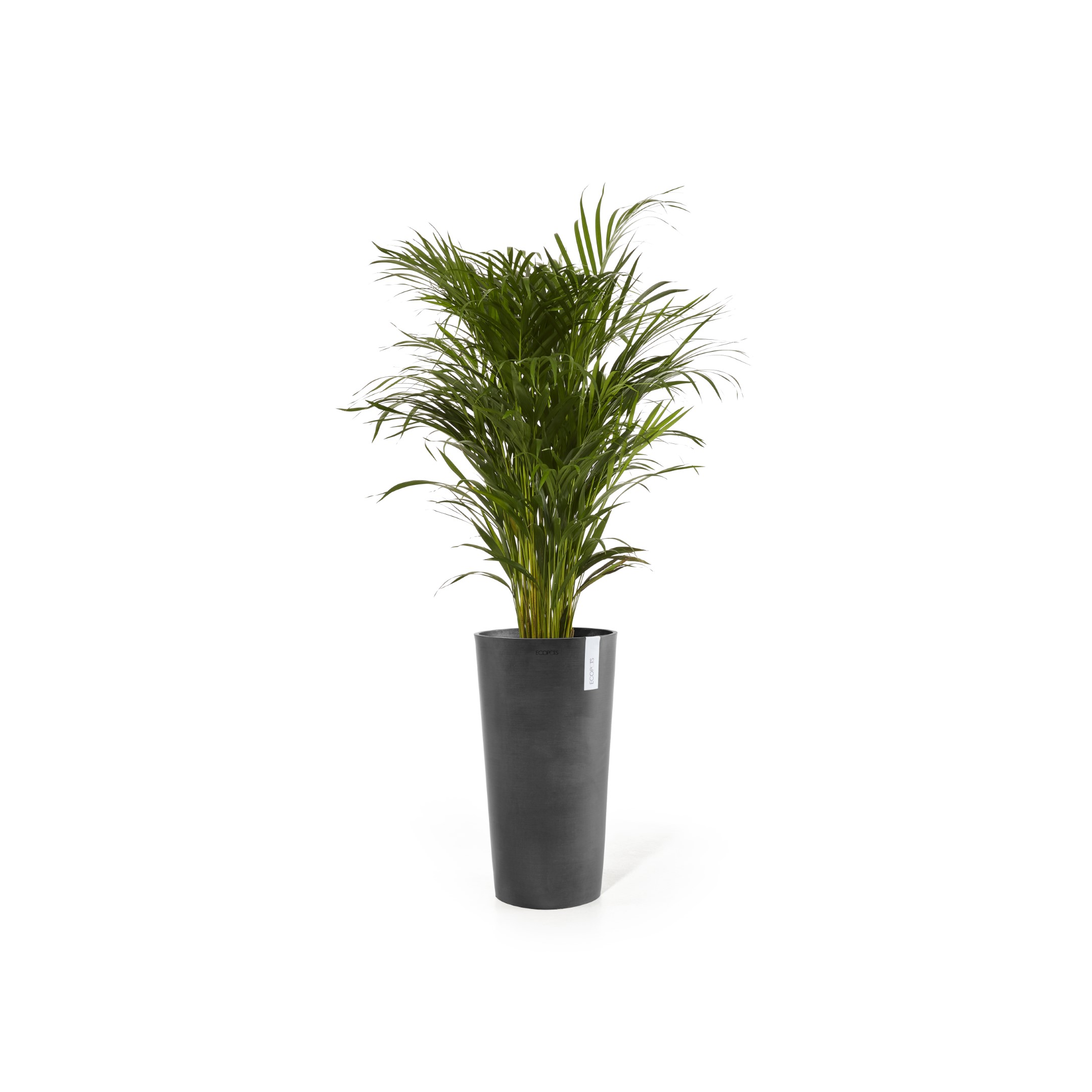 Ecopots Amsterdam High