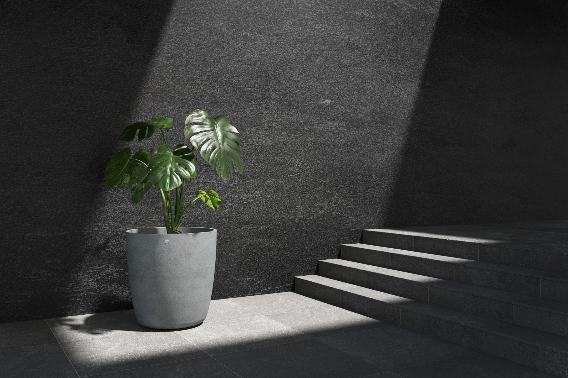 Cosapots Juno