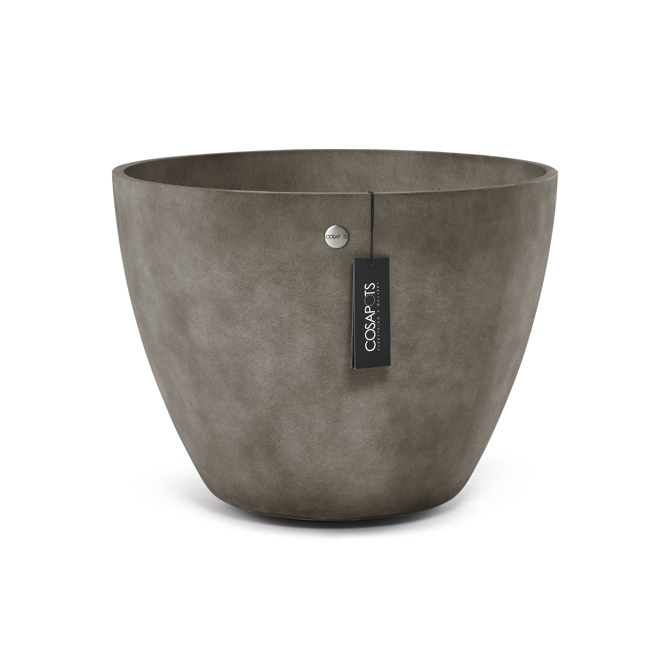 Cosapots Lupo