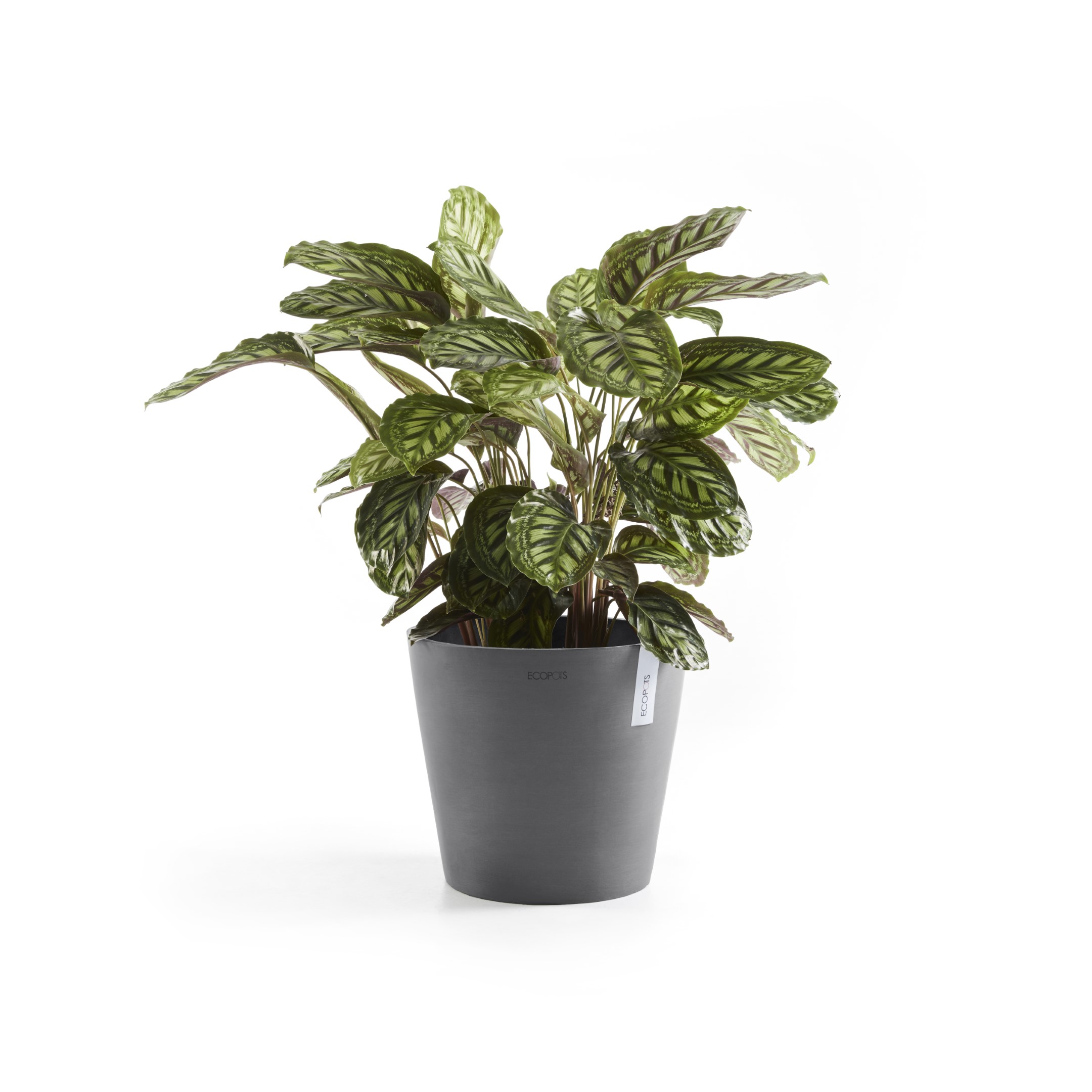 Ecopots Amsterdam