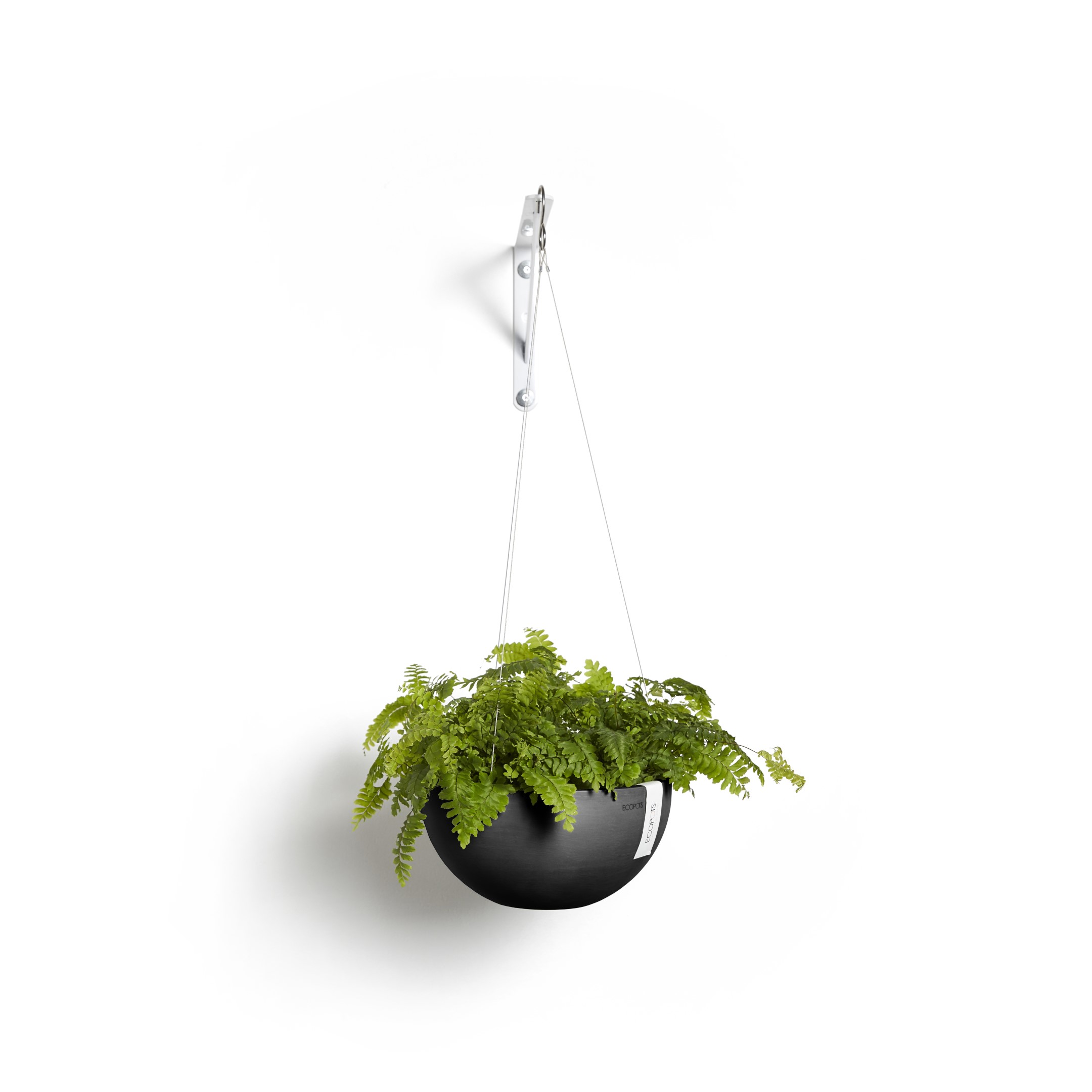 Ecopots Hanging Brussels