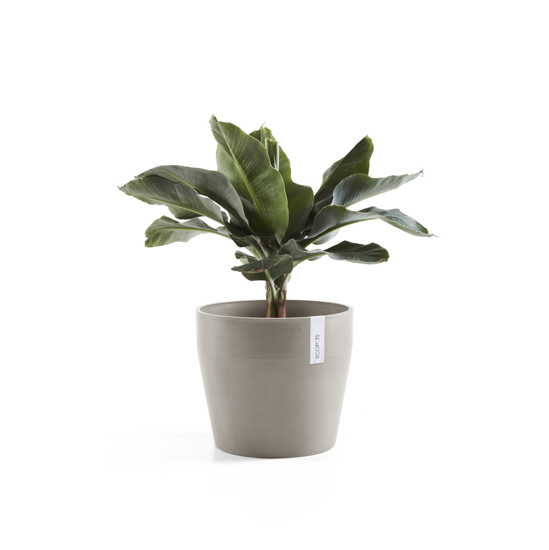 Ecopots Sankara