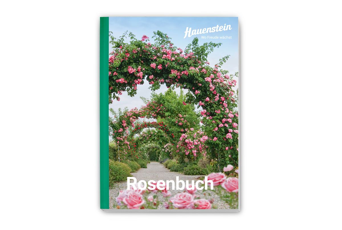Fachbuch Rosen