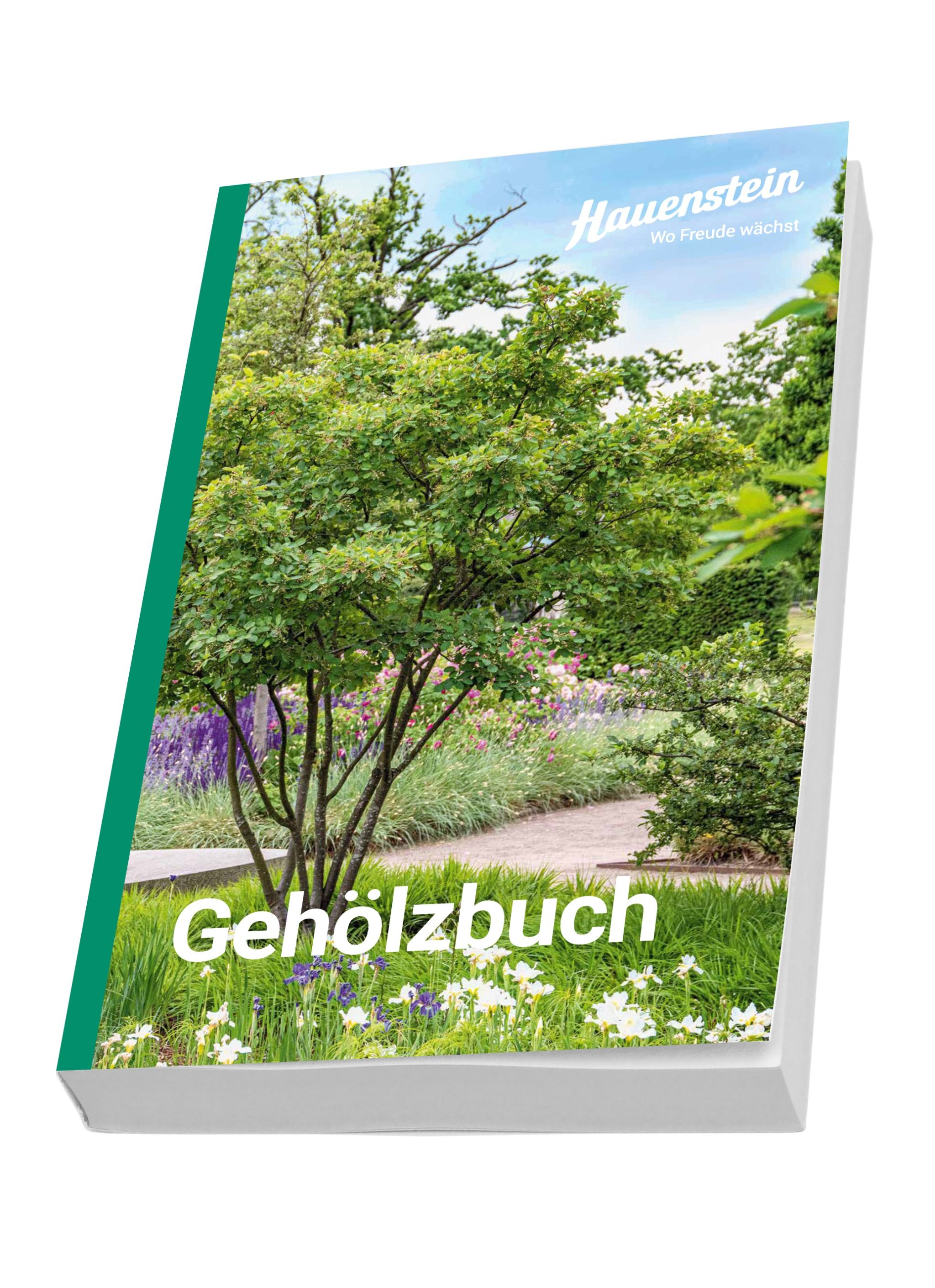 Hauenstein Gehölzbuch 2025 Hauenstein Gehölzbuch 2025