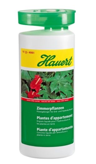 Grün- und Zimmerpflanzen