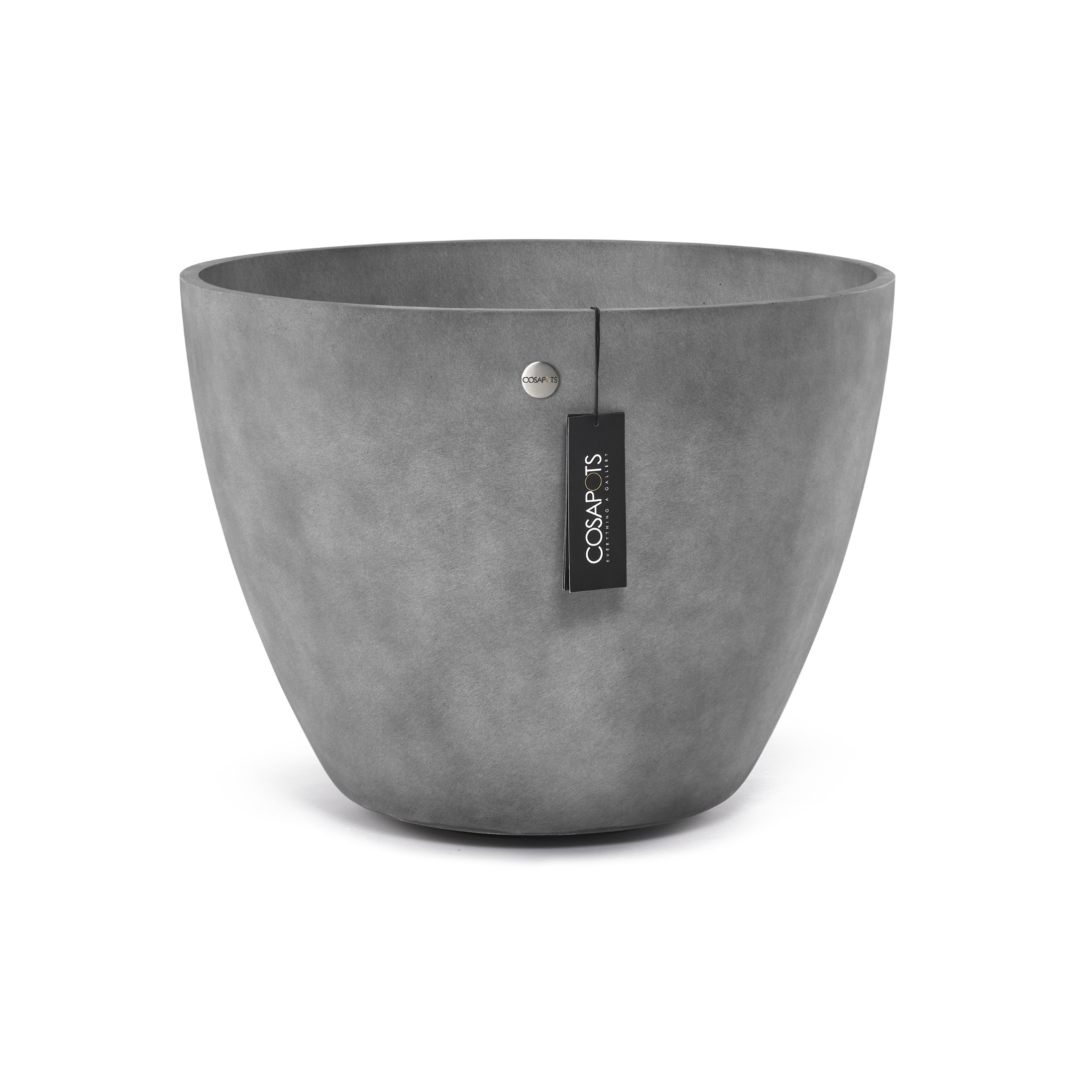 Cosapots Lupo