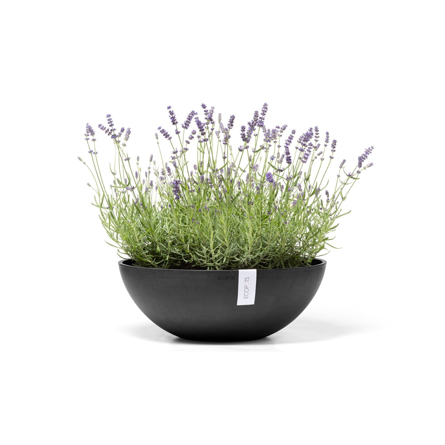 Ecopots Vienna