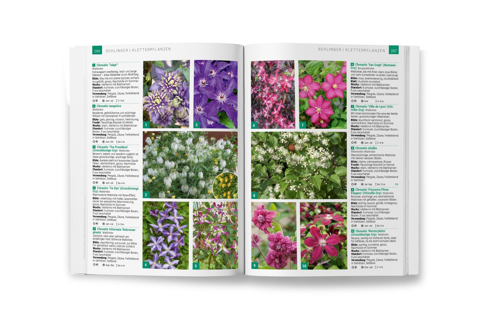 Hauenstein Gehölzbuch 2025 Hauenstein Gehölzbuch 2025