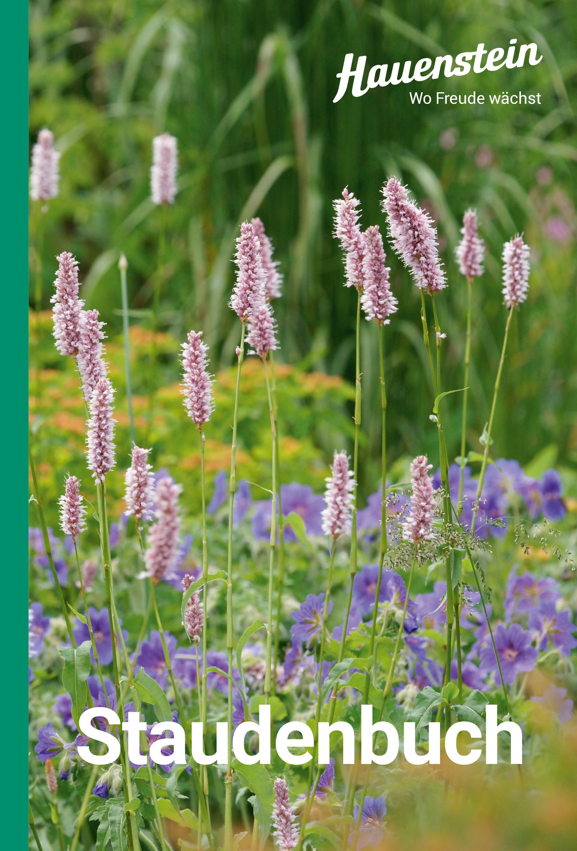 Hauenstein Staudenbuch 2025 Hauenstein Staudenbuch 2025
