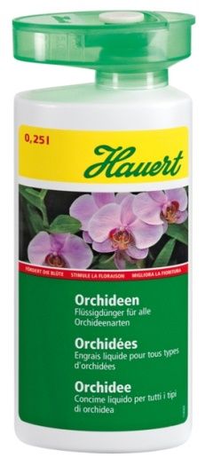 Orchideen