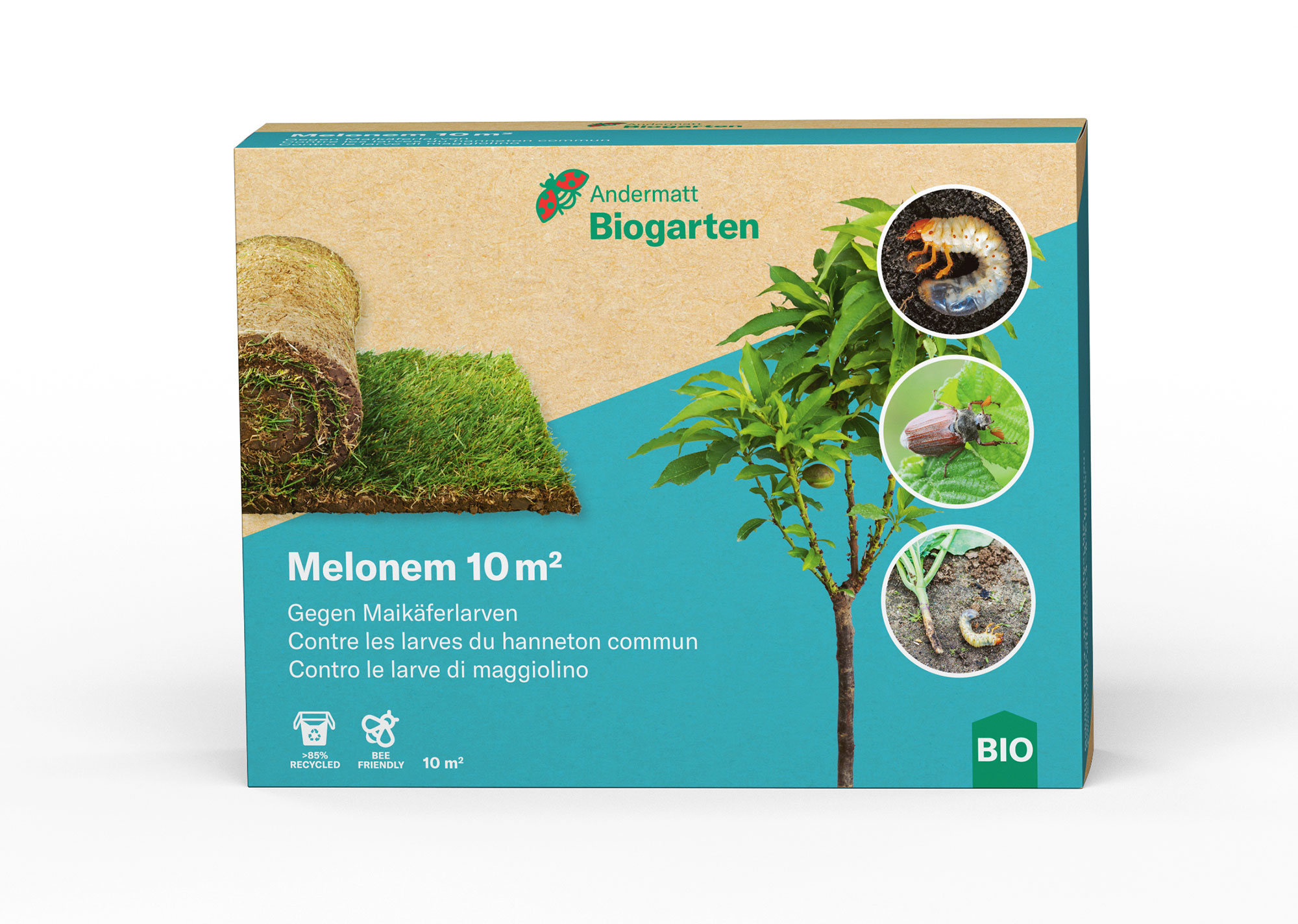 Melonem Nematoden