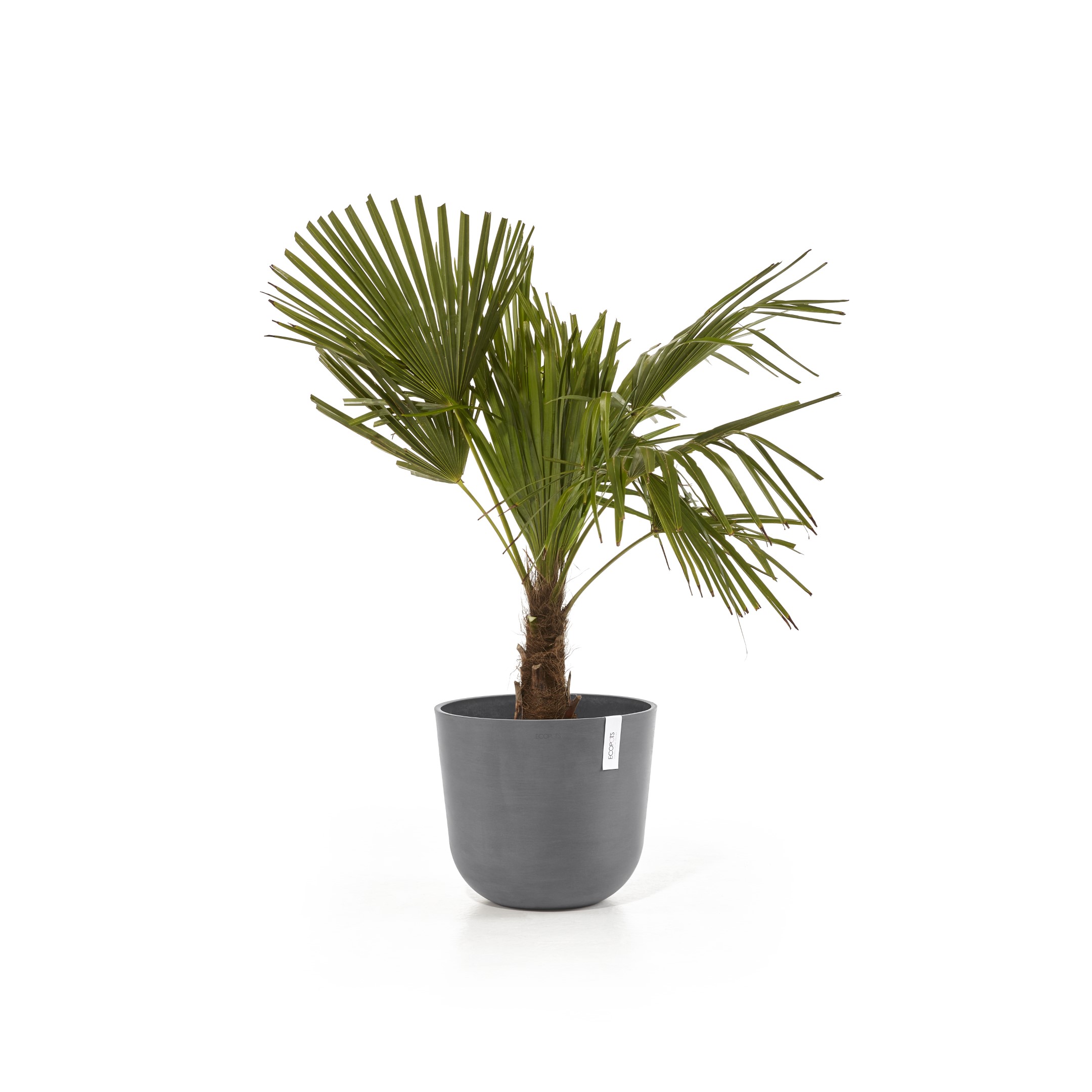 Ecopots Oslo