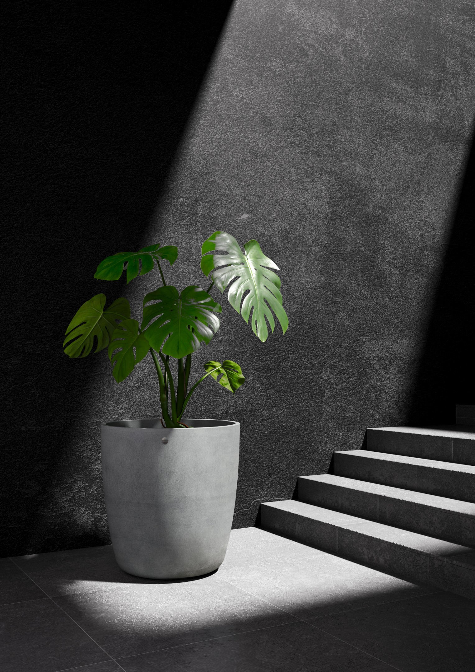 Cosapots Juno