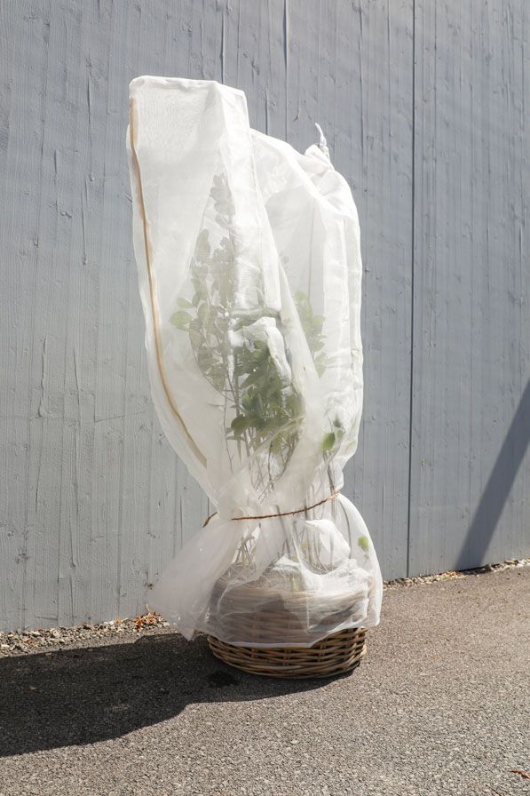 Drosal Schutznetz Beerensträucher Ø 1 m