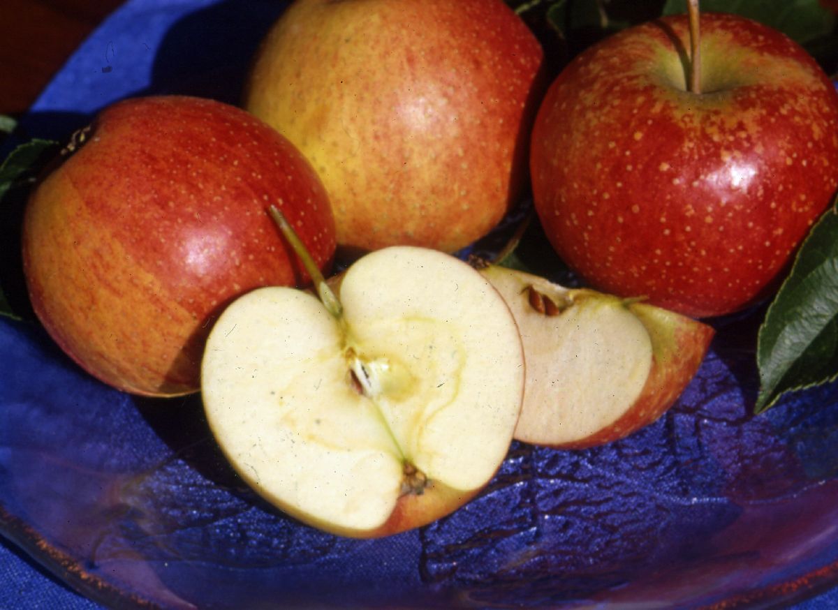 Rubinette® Apfel