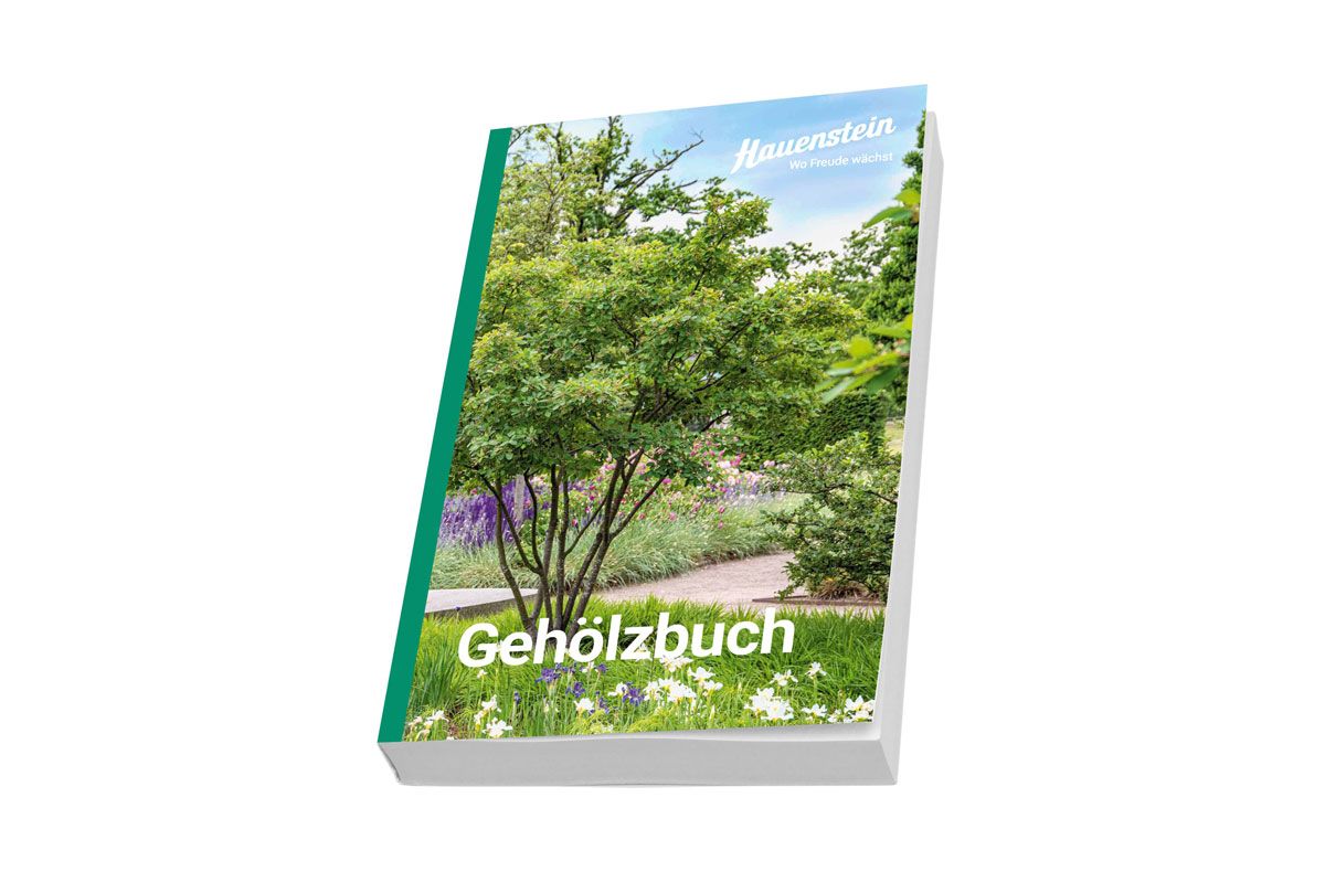 Hauenstein Gehölzbuch 2025