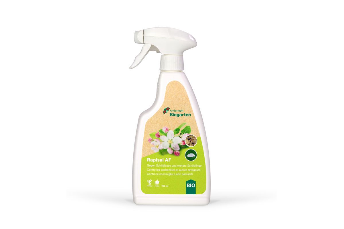 Rapisal AF Spray