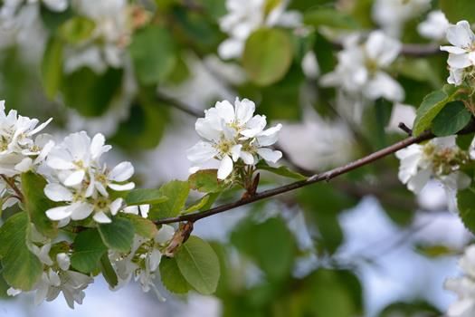 Frühlingszauber Gefäss