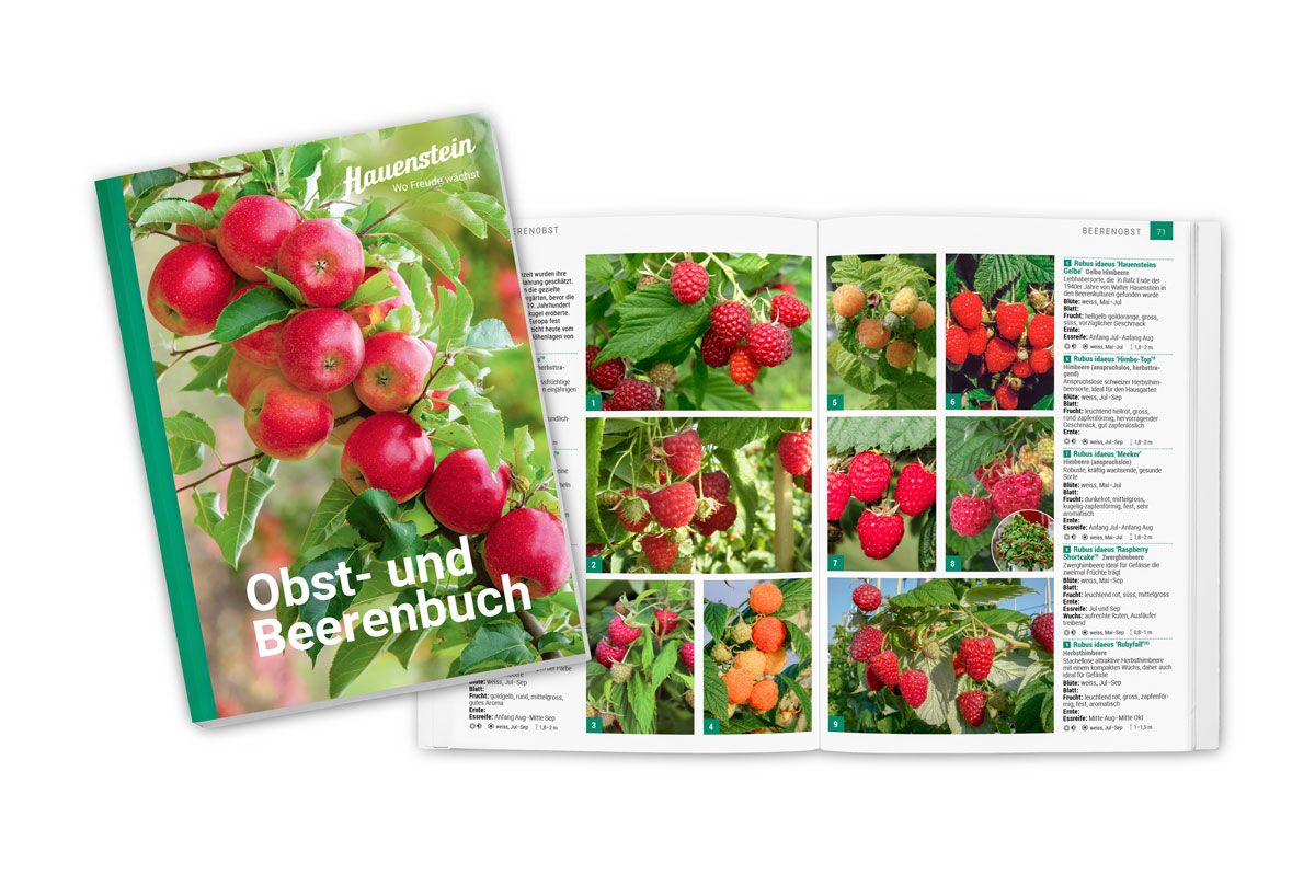 Fachbuch Obst und Beeren