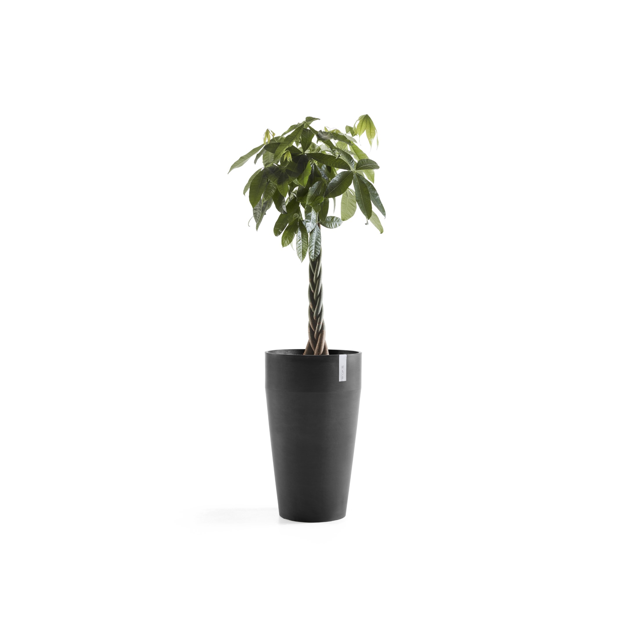 Ecopots Sankara High